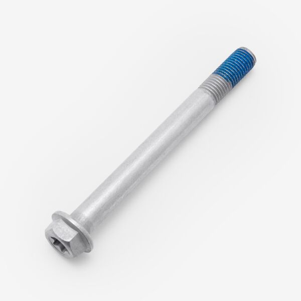 Bolt M10 x 100mm