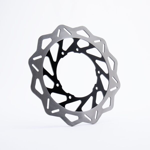 Rear Brake Disc