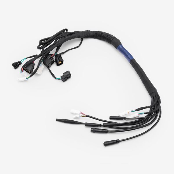 Wiring Loom